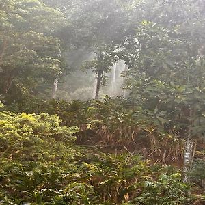 Falling Waters Munnar